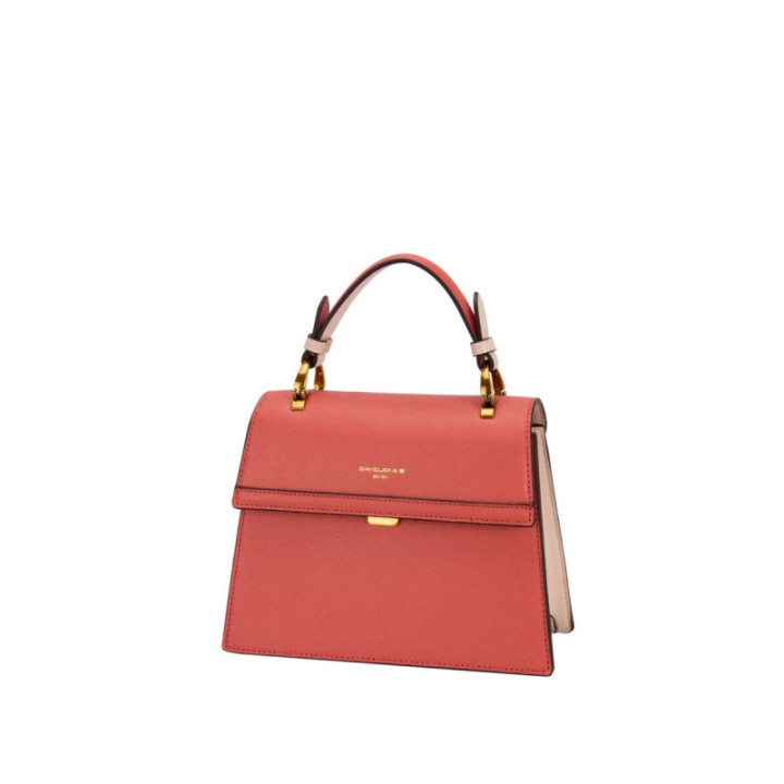 Crossbody David Jones