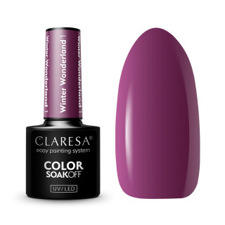 CLARESA WINTER WONDERLAND COLLECTION